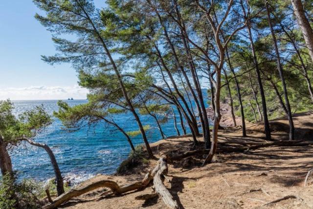 Studio Climatise Avec Jardin Et Plage A 250M แซ็ง-ม็องดรีเย-โซร์-แม ภายนอก รูปภาพ